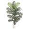 6ft. Artificial Paradise Palm with White Decorative Planter